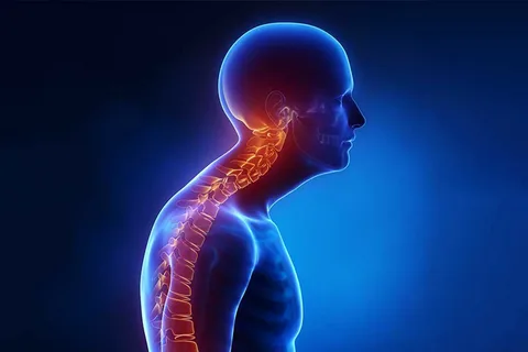 The relationship between postural disorders and occlusion conditions