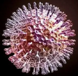 Вирус простого герпеса 2 типа