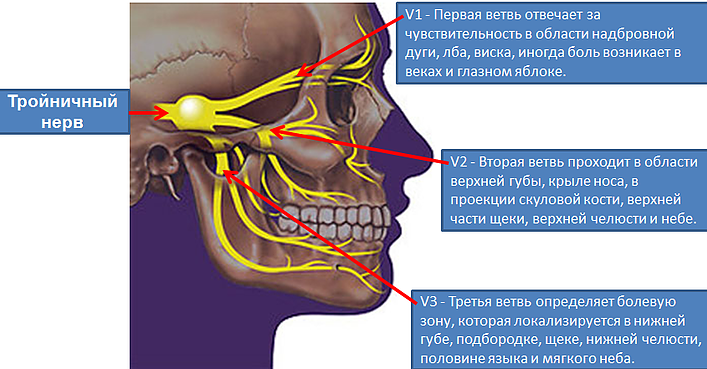 Лечение тройничного нерва после удаления зуба