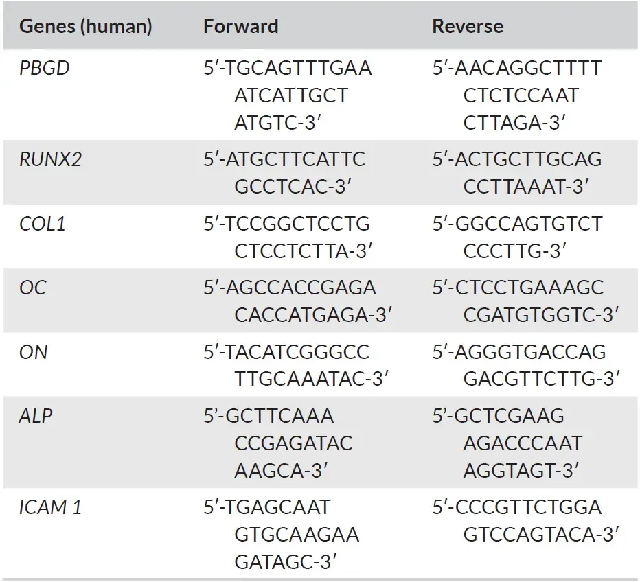 Oligonucleotide sequences of the DNA probes 