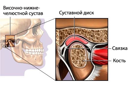 центральное соотношение челюстей