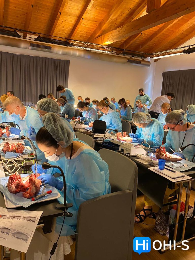 SOLD OUT! Реконструктивная пародонтальная и пластическая хирургия мягких тканей в эстетической зоне. Семинар + демо операции + практика