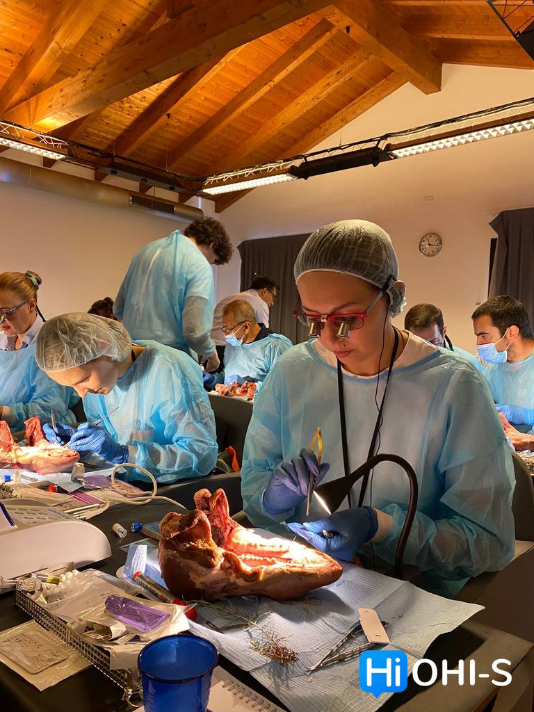 SOLD OUT! Реконструктивная пародонтальная и пластическая хирургия мягких тканей в эстетической зоне. Семинар + демо операции + практика