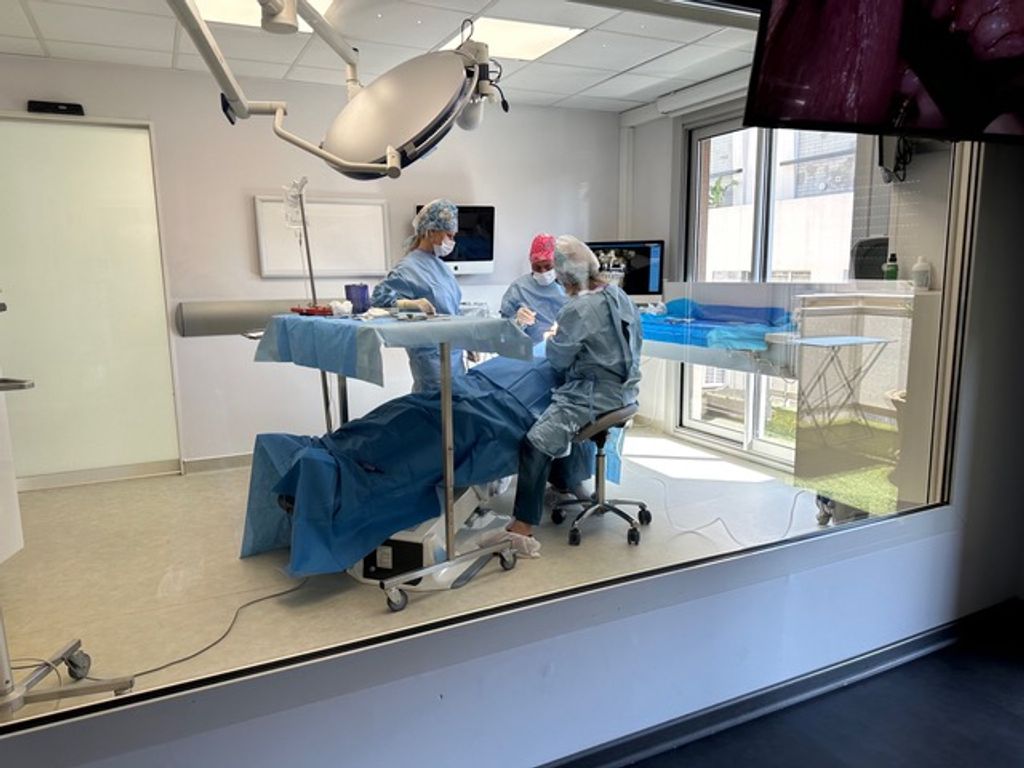 Advanced techniques in implant surgery. Theory + LIVE surgeries with Patrick Palacci