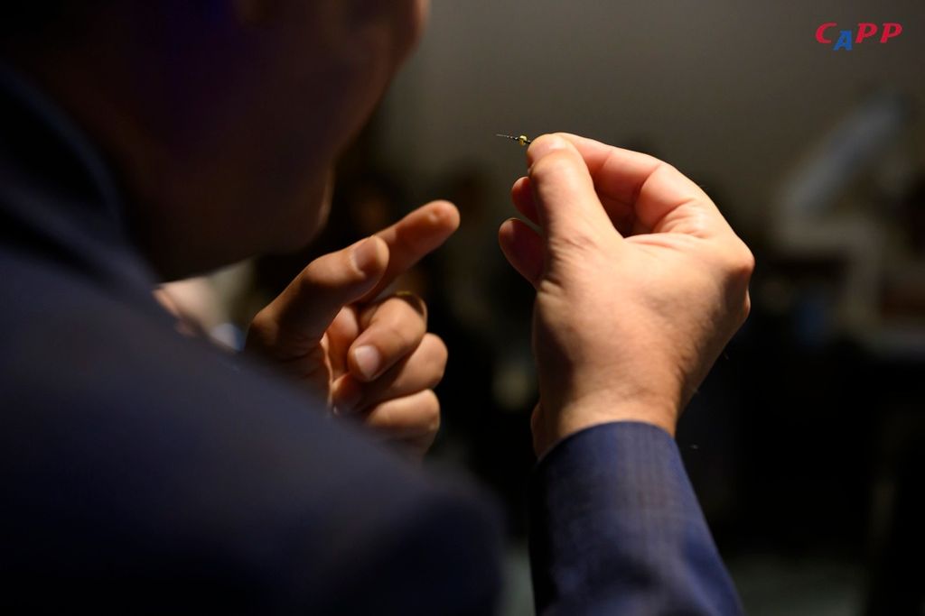 Минимально инвазивная и цифровая эндодонтия. Семинар Gianluca Gambarini. Пакет "Стандарт"