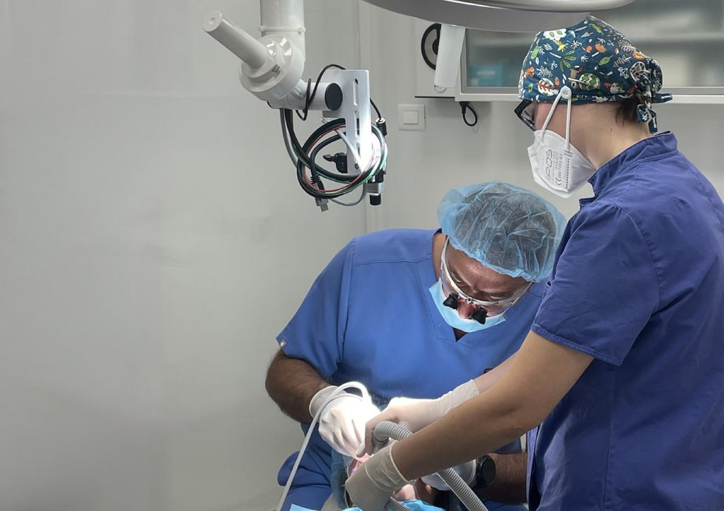 Регенерация тканей пародонта и восстановление межзубных прикреплений. Практический курс Giulio Rasperini