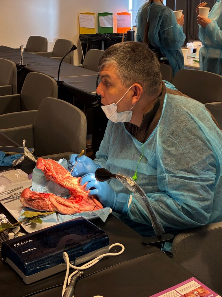 Programa de prácticas en Cirugía Ortognática con el Dr. David Sanz