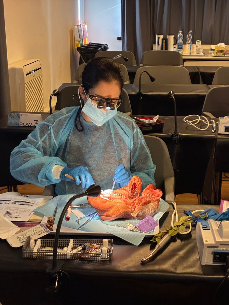 Programa de prácticas en Cirugía Ortognática con el Dr. David Sanz