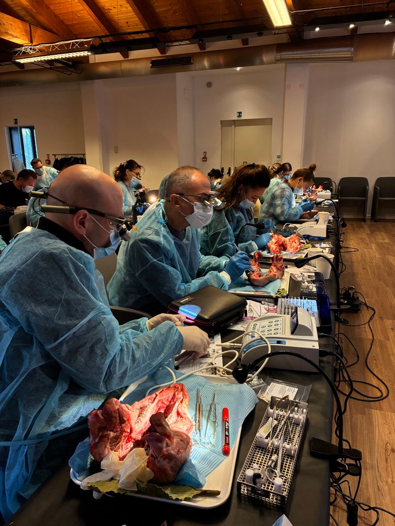 Programa de prácticas en Cirugía Ortognática con el Dr. David Sanz