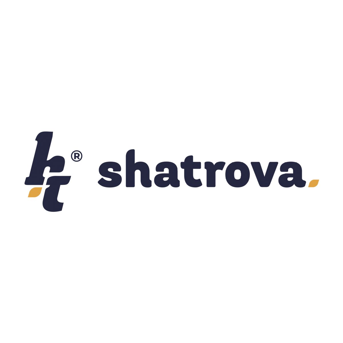 Organization – PESITRO