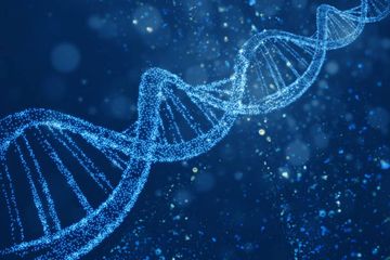 Frequenza del DNA dei principali tipi di virus oncogeni nella struttura del carcinoma squamoso e della mucosa orale normale