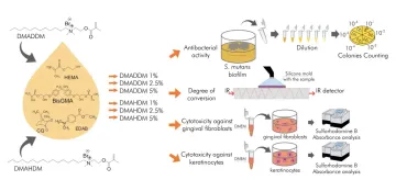 Cytotoxicity Evaluation, Antibacterial Effect, and Degree of Conversion of QAM-Containing Adhesives