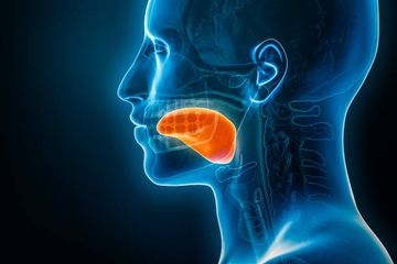 Дистрофическая кальцификация околоушных слюнных желез при болезни Шегрена