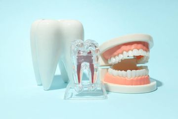 Morphological evaluation of maxillary second molars with fused roots: a micro-CT study