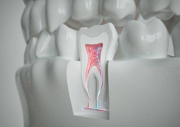 Comparação da Biocompatibilidade Intraóssea dos Selantes de Canal Radicular AH Plus, EndoREZ e Epiphany