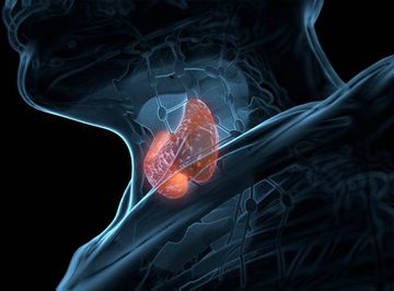 Сравнительная оценка реактивности сосудов при медикаментозно-ассоциированном остеонекрозе нижней челюсти