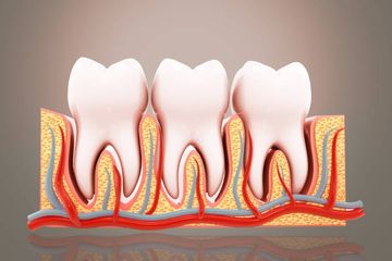 La preparación del canal mesial medio aumenta el riesgo de fractura en la raíz mesial de los molares mandibulares.