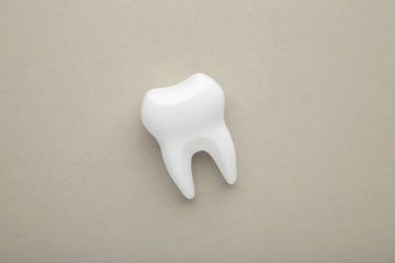 The anatomy of two-rooted mandibular canines determined using micro-computed tomography