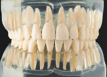 Oral Manifestations of Viral Diseases: Influenza, Measles, Adenovirus, Rubella
