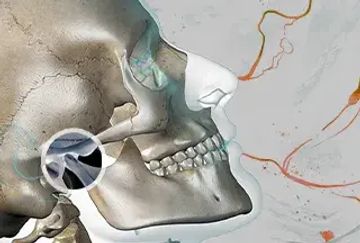 Oral health conditions and self-reported presence of pain in rowers: an epidemiology study