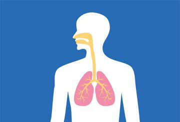Airway Dentistry Guide: OSA Diagnostics & Evidence-Based Treatment