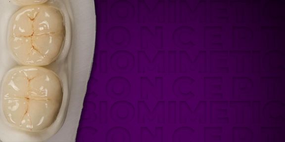 Biobase for Optimized Restoration of Endodontically Treated Teeth with ...