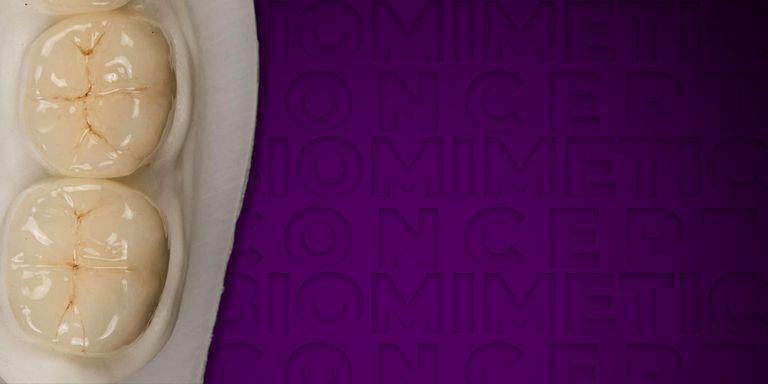 Biobase for Optimized Restoration of Endodontically Treated Teeth with ...