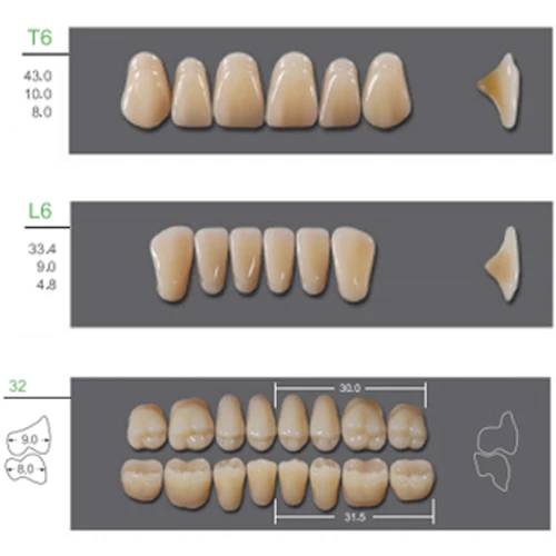 Kaili Synthetic Polymer Denture Teeth, T6/L6/32, Shade A2, 4 Full Sets