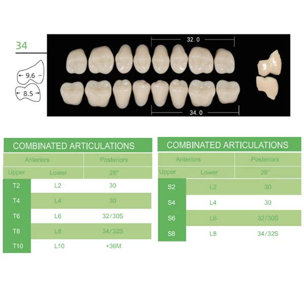 Denti in polimero sintetico Kaili, misura 34, tonalità B1, 12 set posteriori superiori.