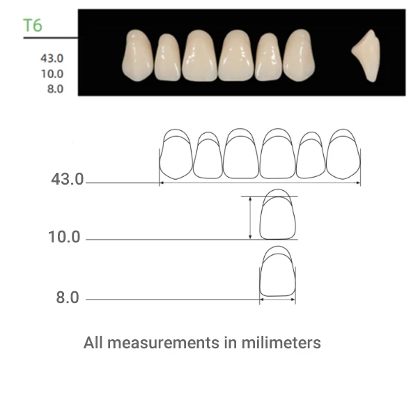 Denti in polimero sintetico Kaili, dimensione T6, tonalità A1, 16 set anteriori superiori.