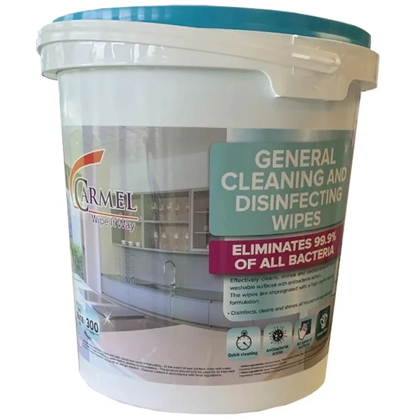 Wipe it Away General Cleaning and Disinfecting Wipes, 300/Bucket. Size 7.1" x