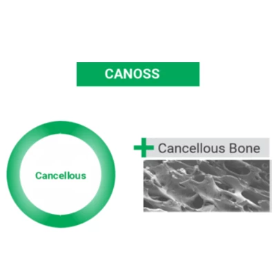 Canoss Powder (0.200-0.850mm) 0.5cc in Curved Syringe.100% Cancellous Bone