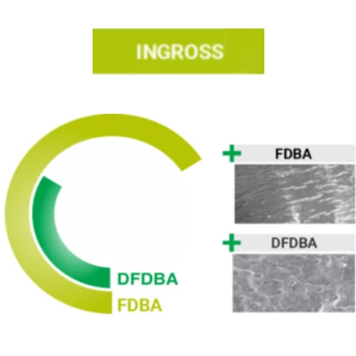 INGROSS Powder (0.200-0.850mm) 0.5cc in Curved Syringe. 70% FDBA, 30% DFDBA