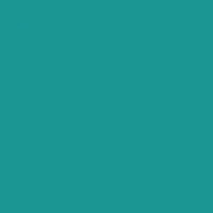 TOP STICKS Ligaduras elásticas ortodónticas, color teal, 1008 ligaduras/paquete.