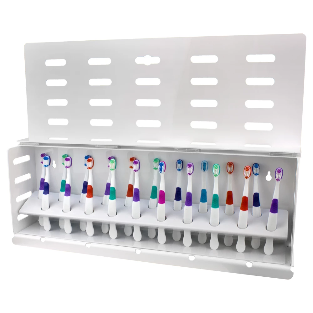 Plak Smacker Toothbrush with Wall Mount Rack, 20/Pk