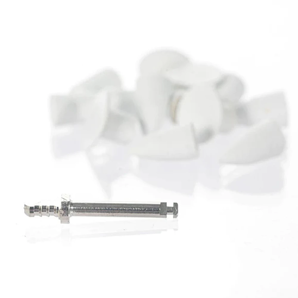 Speedy Gloss Rubber Polishing White Stone Bur Kit 18Pcs and 1 Snap-on Mandrel