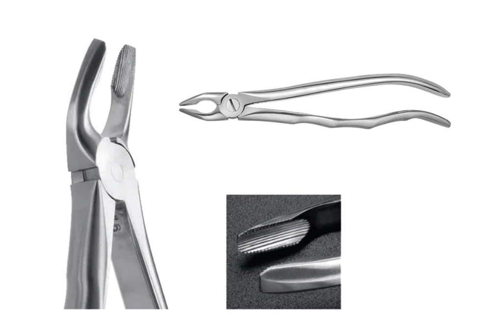 Furca de premolar maxilar
