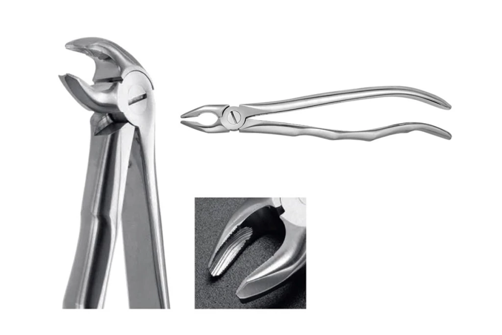 Mandibular forceps canine & premolar Mandibular forceps canine & premolar