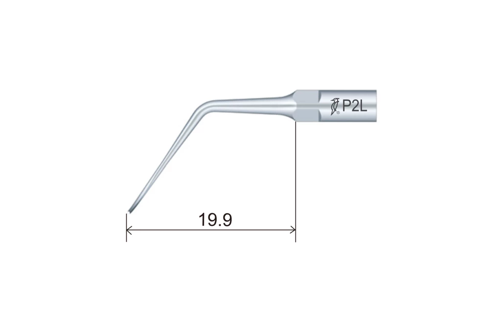 Escalador P2L