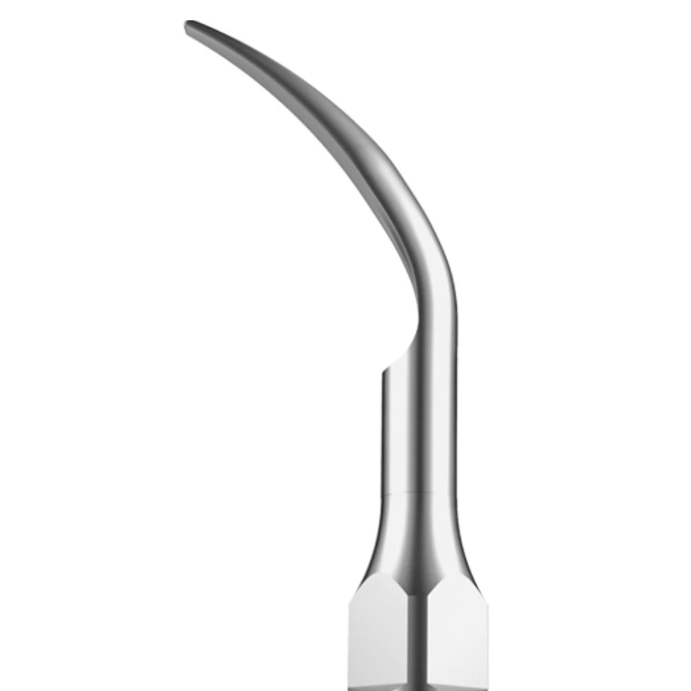 Puntas de ultrasonido G1 GD1 GS1 GN1 GM1 | Escalado universal - NSK*