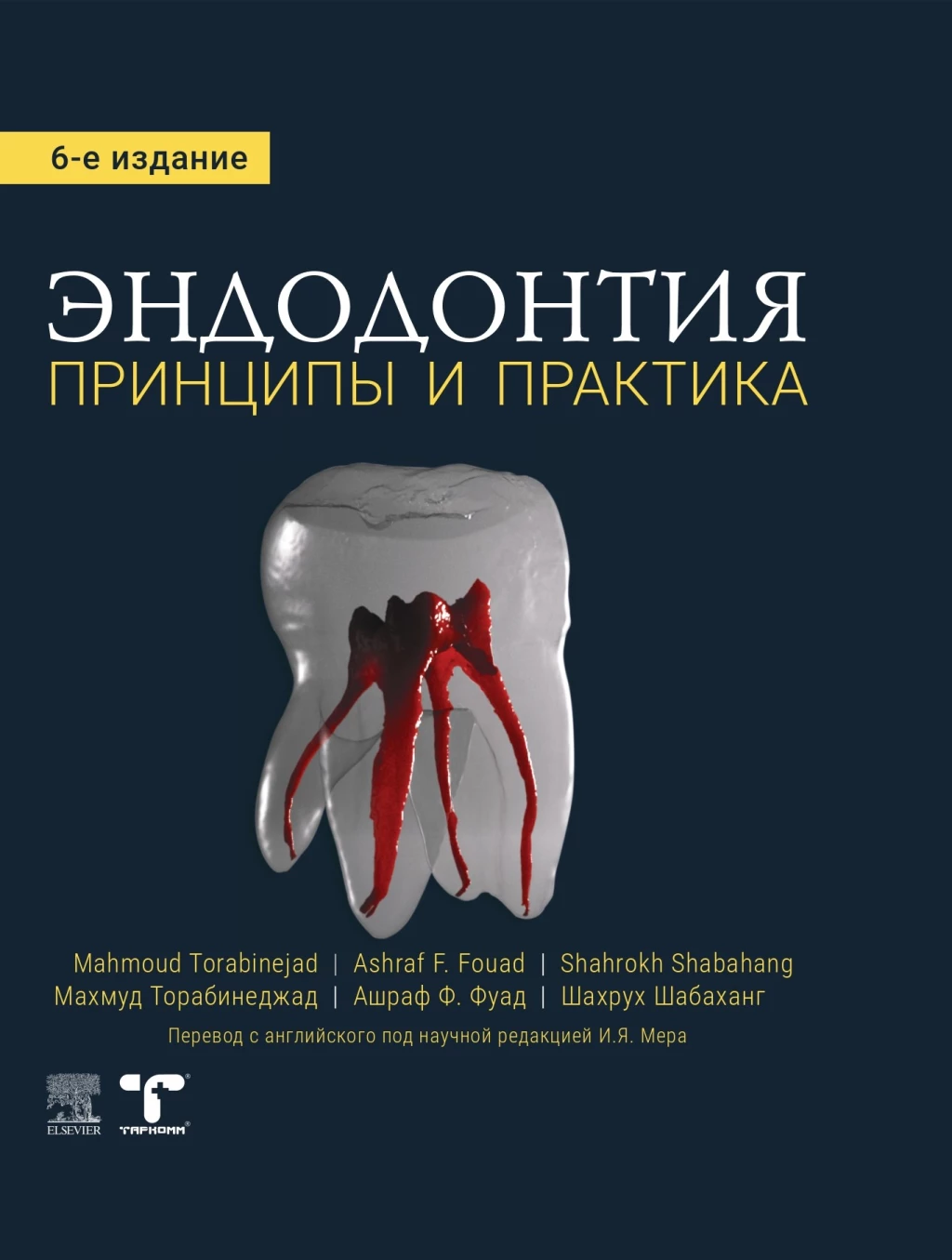 Endodoncia. Principios y práctica. 6ª edición - Mahmoud Torabinejad