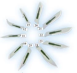 Rite-Dent #12B Sterile Stainless Steel Surgical Scalpel Blade, Box of 100 blades
