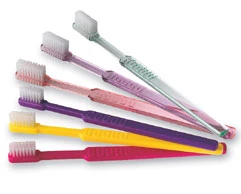 Elite adult toothbrush with soft round-end nylon bristles (4-row, 39-tuft)