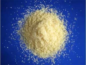 Polvo de matriz ósea mineralizada Tran Zgraft 2.5cc, hueso cortical molido.