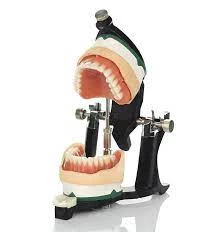 Luxury Deluxe Articulator