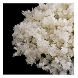 SteriSorb Allograft Chips 10 cc - Osteokonduktive Schwamm-Allografts. 100%