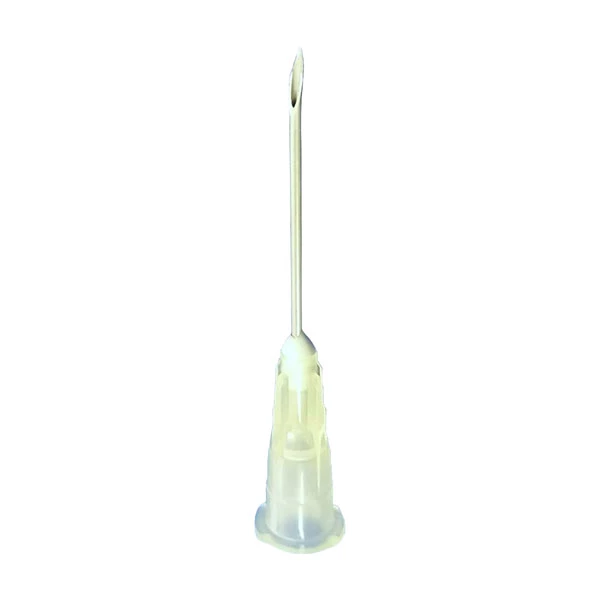 EXELINT International Hypodermic Needle 19 gauge x 1" regular bevel, 100/Bx