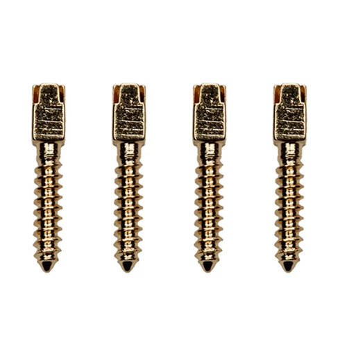 Poste de tornillo Nivo Gold S5, postes de tornillo con cabeza cónica y chapados en oro para uso dental.