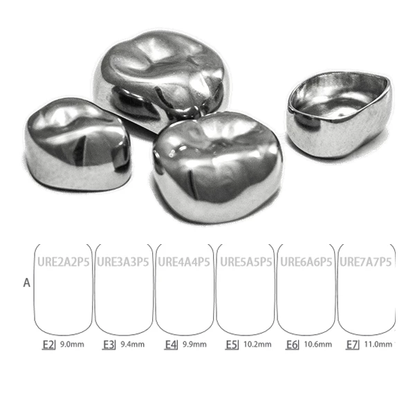 TrueFit Plus coronas pedo de acero inoxidable, superior derecha EUR5, 5/caja. Preformadas. TrueFit Plus coronas pedo de acero inoxidable, superior derecha EUR5, 5/caja. Preformadas.