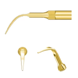 Puntas de oro GD4T para escalador ultrasónico DTE – 5/Paq. Puntas para escalado supragingival.